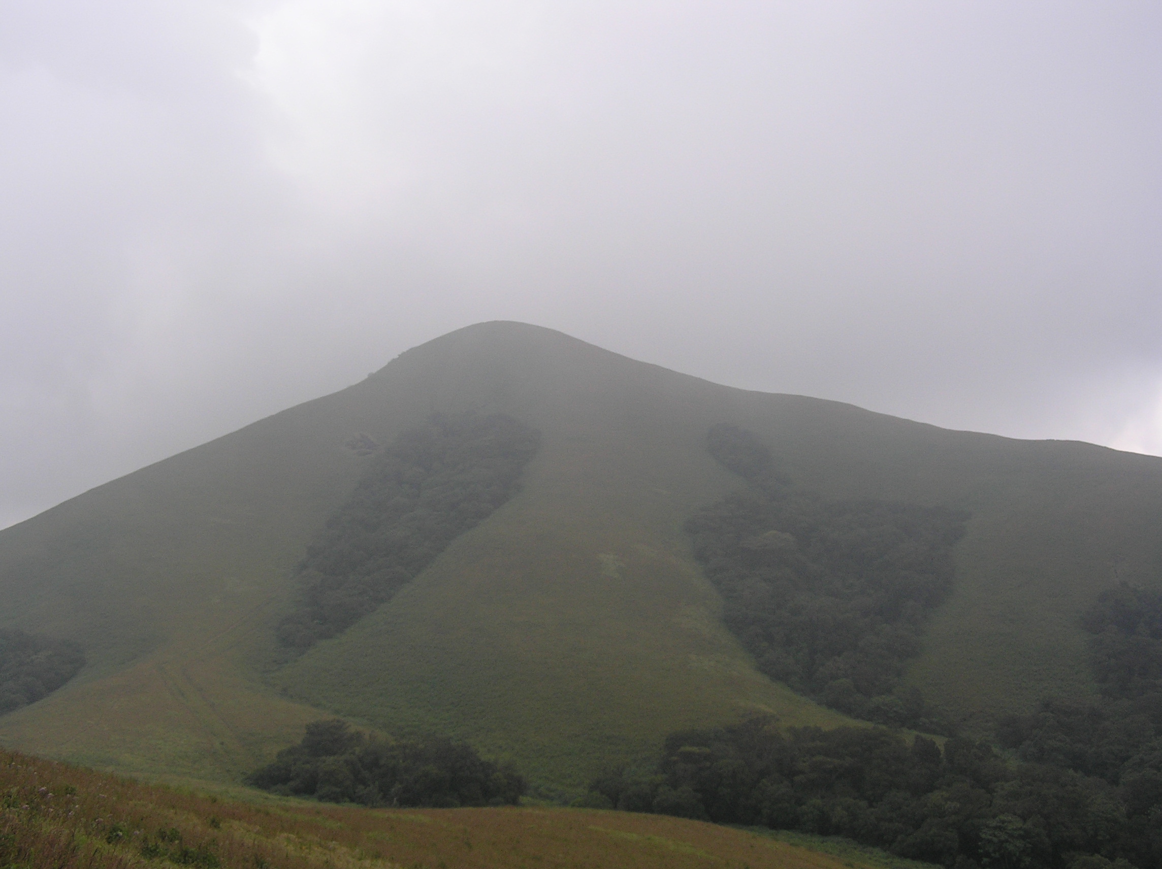 Brahmagiri Wayanad