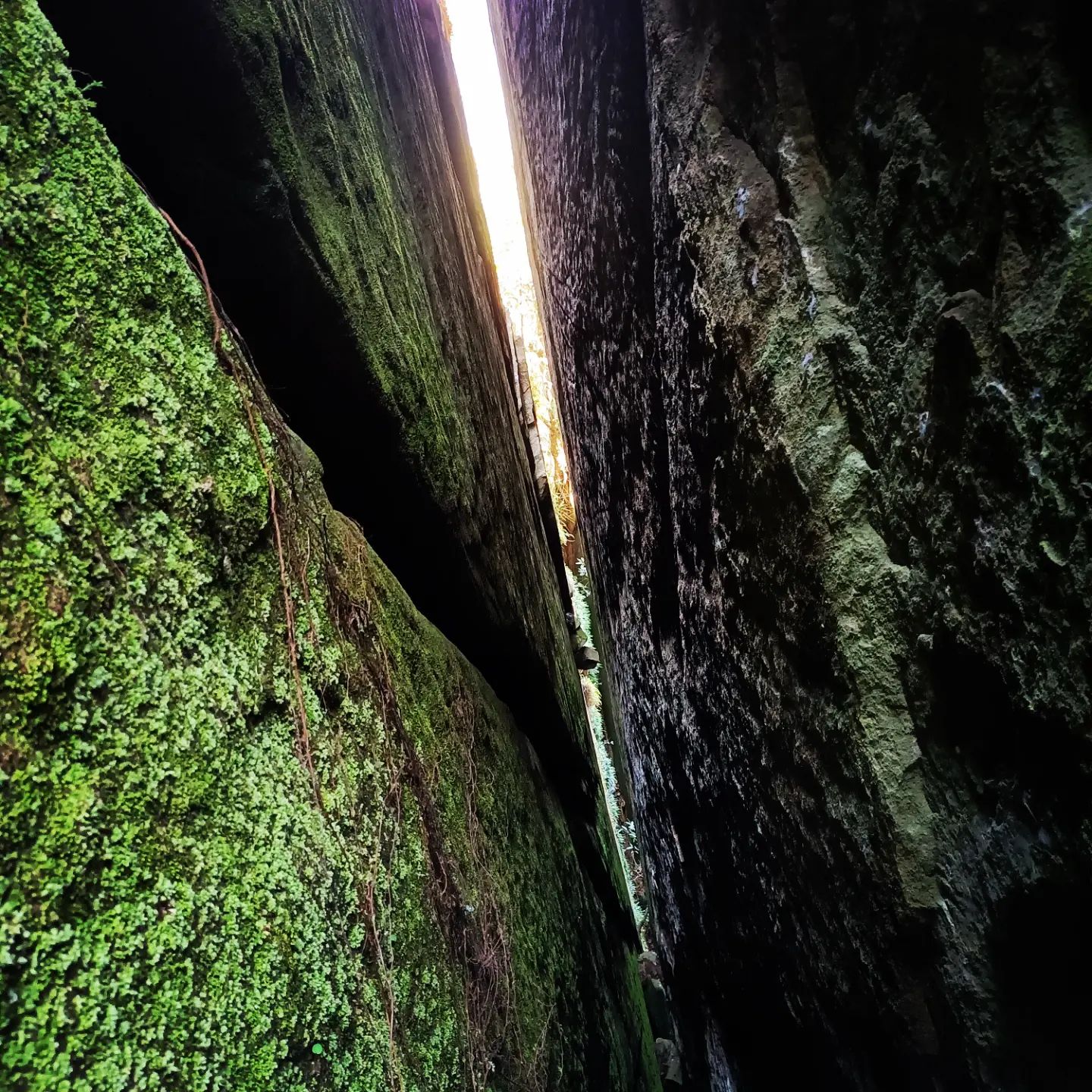 Edakkal Caves Wayanad history