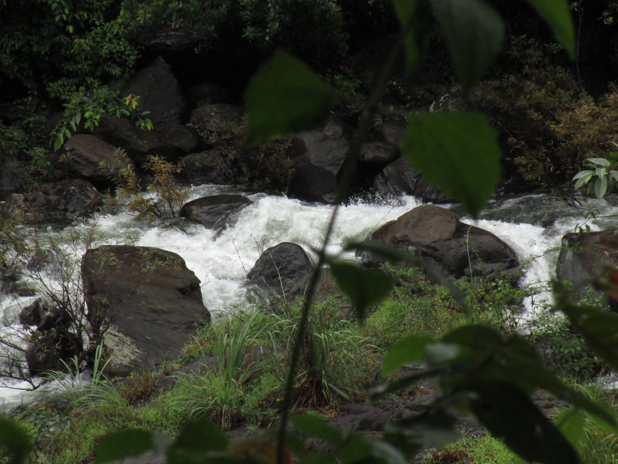 Kanthanpara Waterfalls Wayanad attractions